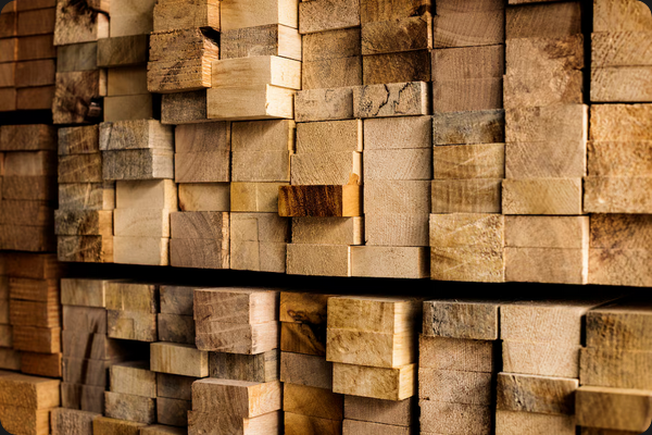 How to Identify High-Quality Timber in Kenya
