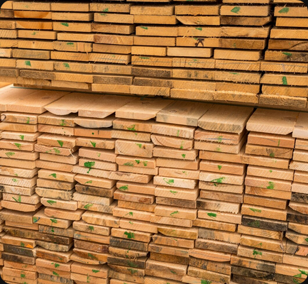 Timber and Pallet Solutions for Modern Industries in Kenya